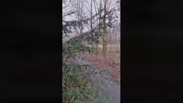 SlutboyBen  01-03-2022